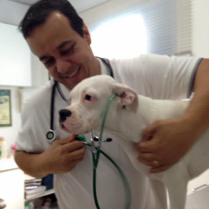 Dr. Emerson auscultando um cão
