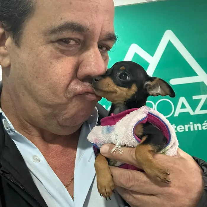 Pet atendido com carinho